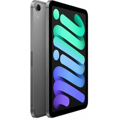 Apple iPad mini (A17 Pro), 256 GB, Space Grey - front and back view