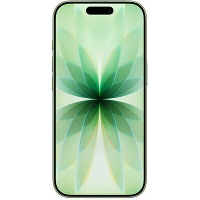 Apple iPhone 17, 256 GB, Sage – front and back view